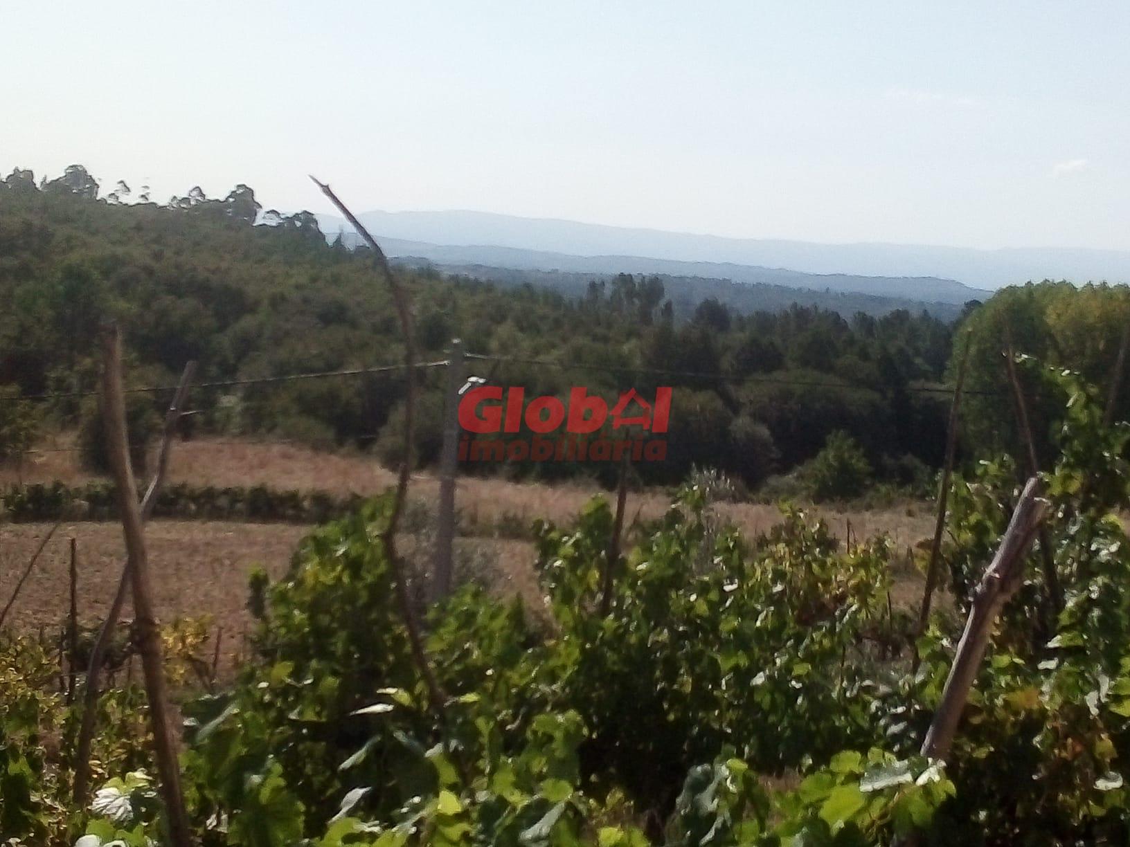 Quinta  Venda em São Pedro de France,Viseu