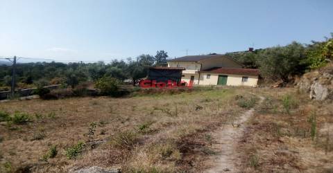 Quinta  Venda em São Pedro de France,Viseu