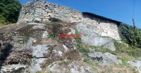 Moradia para Restaurar  Venda em São Pedro de France,Viseu