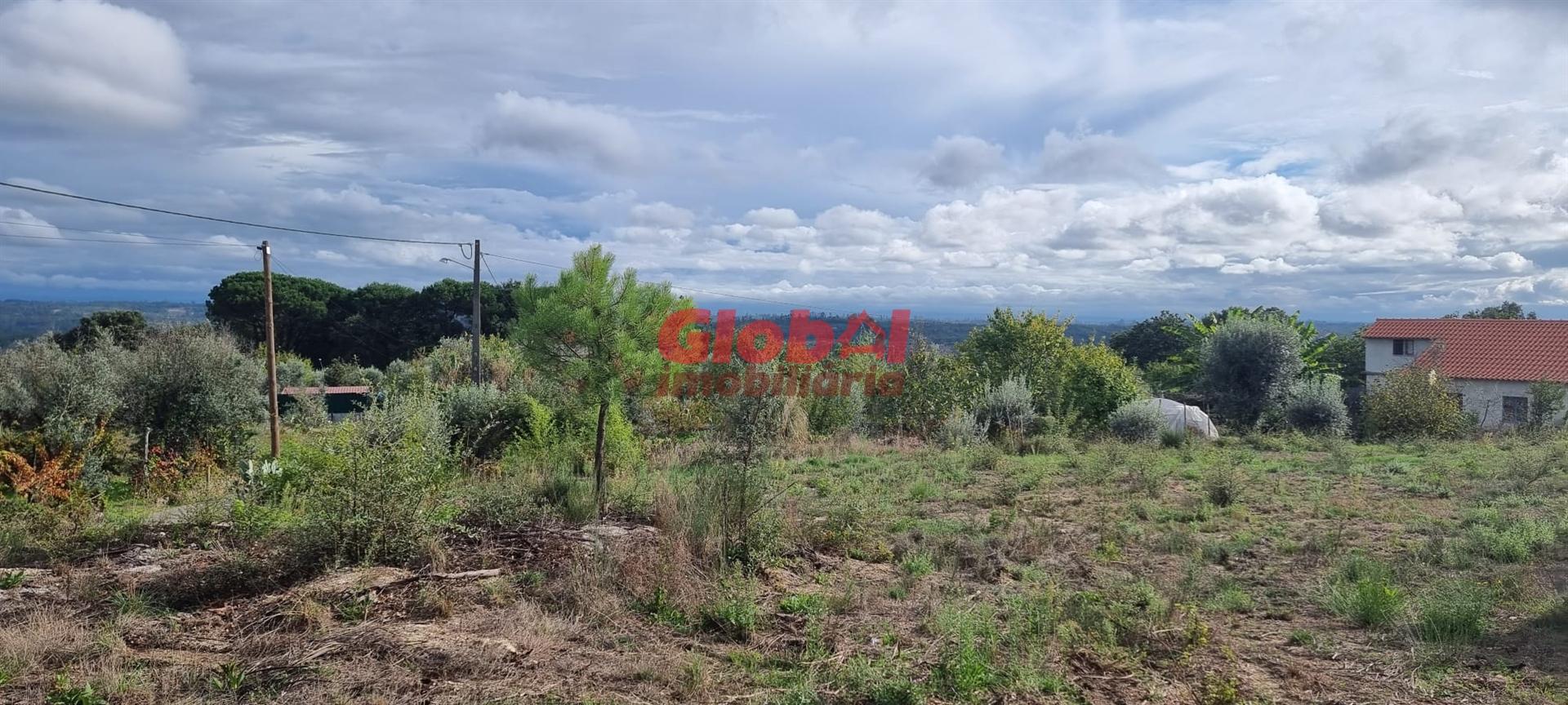 Terreno Para Construção  Venda em Lajeosa do Dão,Tondela