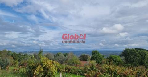 Terreno Para Construção  Venda em Lajeosa do Dão,Tondela