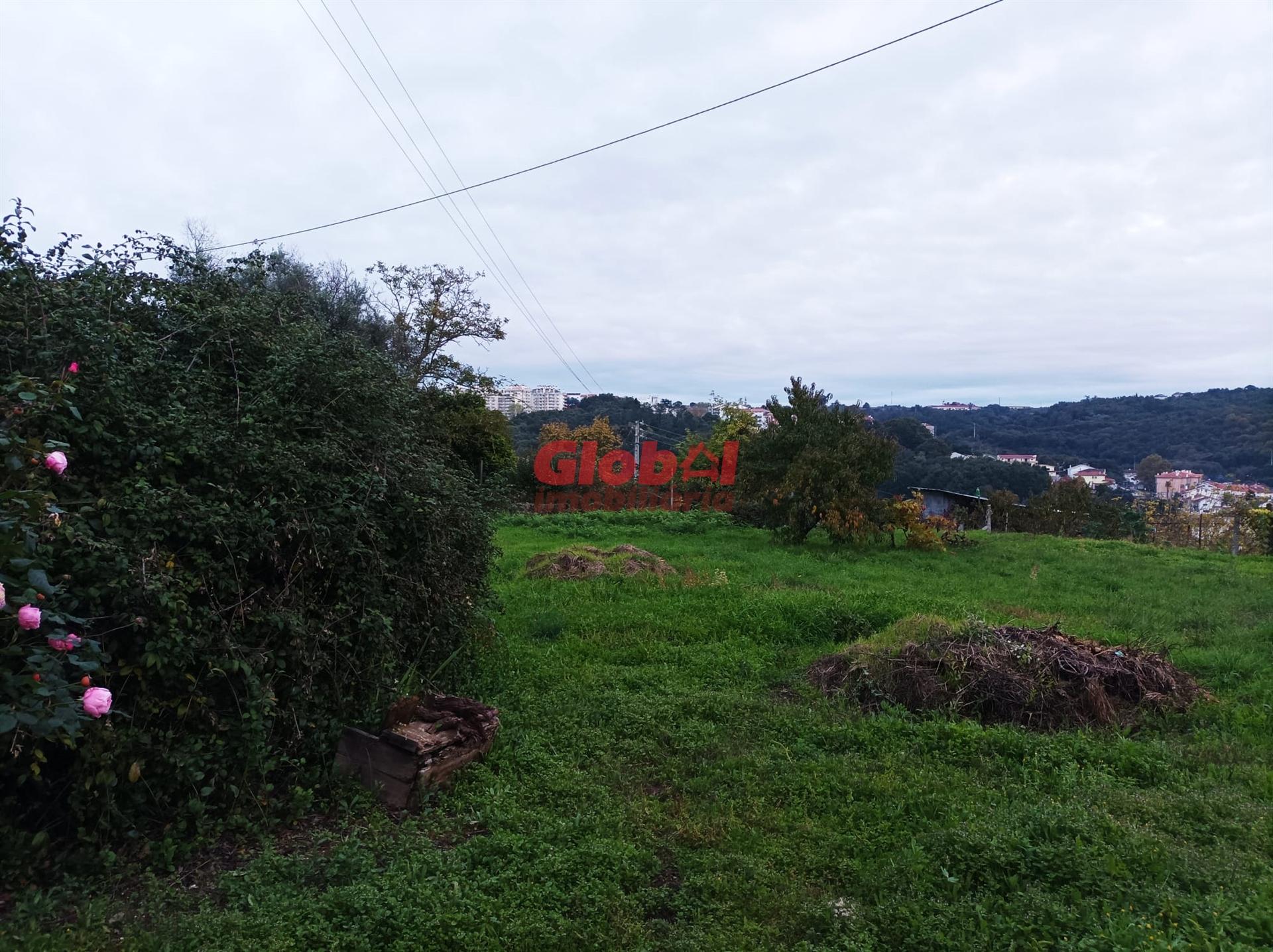 Terreno  Venda em Repeses e São Salvador,Viseu