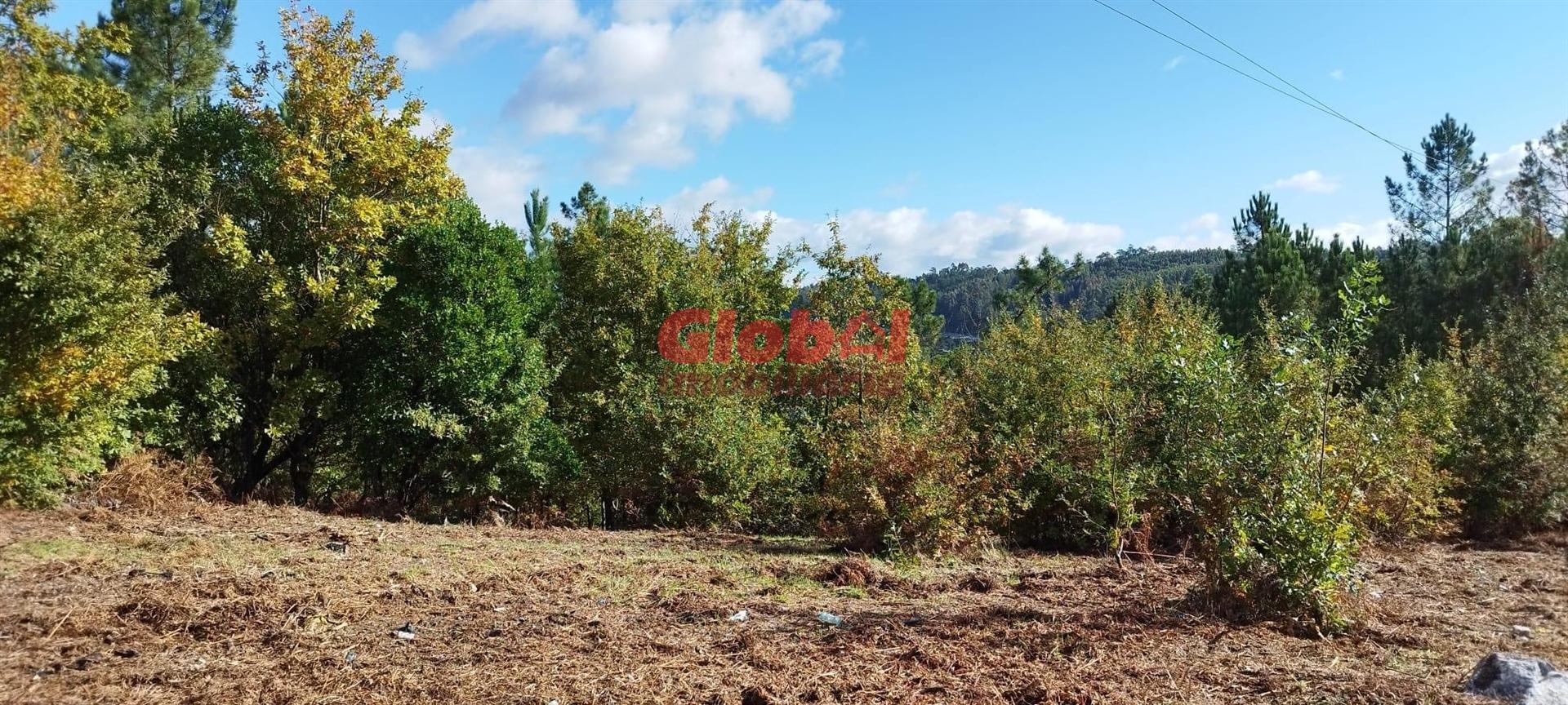 Lote de Terreno  Venda em Faíl e Vila Chã de Sá,Viseu