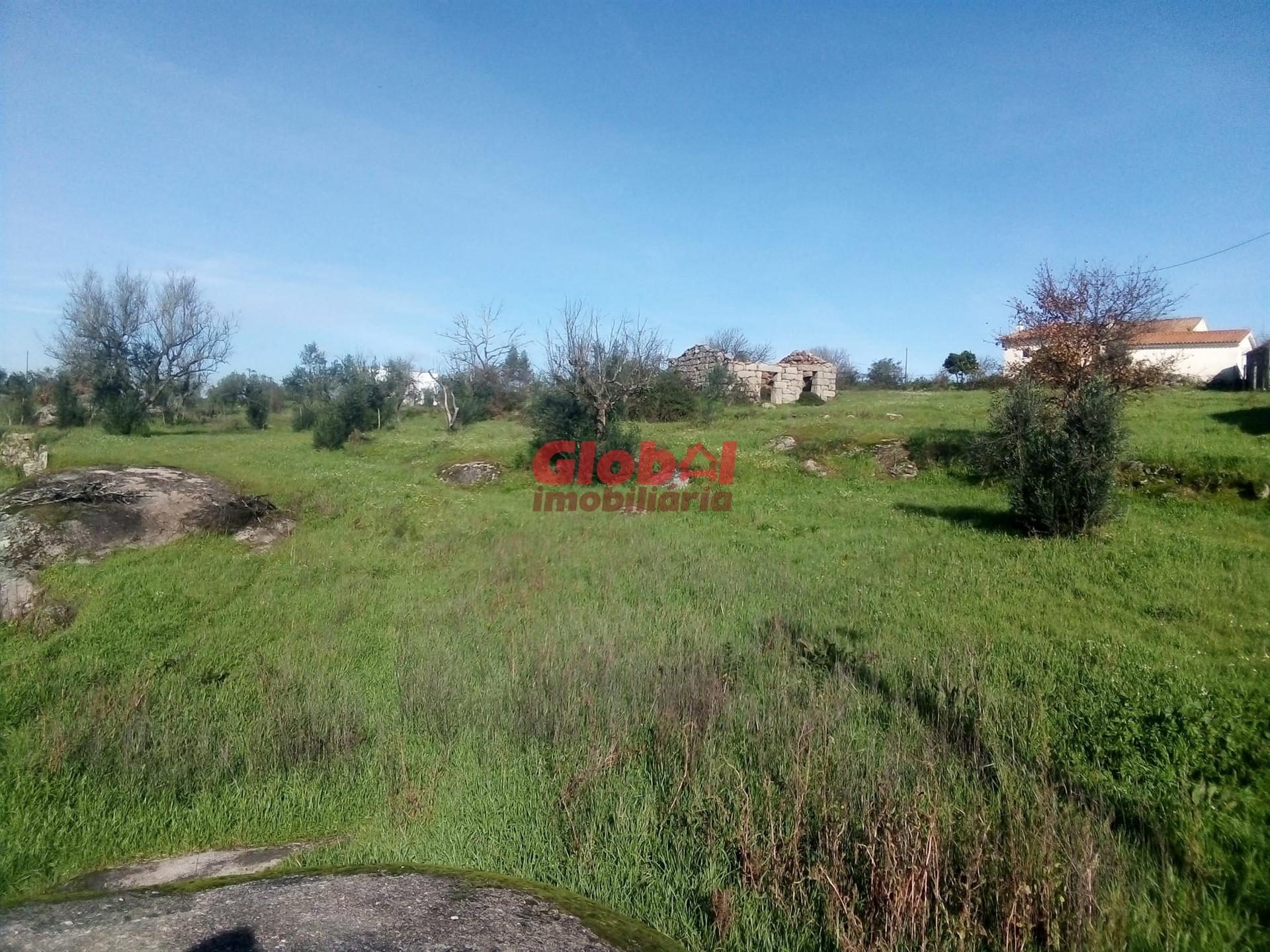 Terreno Para Construção  Venda em Ervedal e Vila Franca da Beira,Oliveira do Hospital