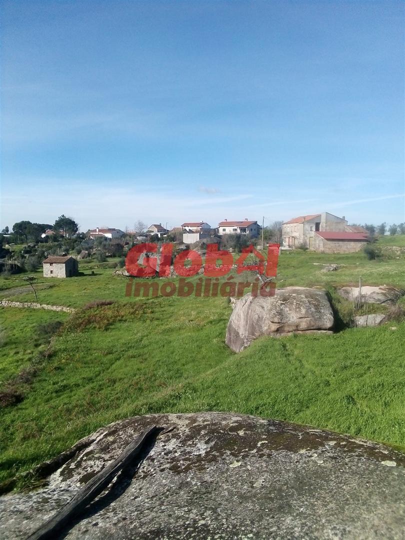 Terreno Para Construção  Venda em Ervedal e Vila Franca da Beira,Oliveira do Hospital