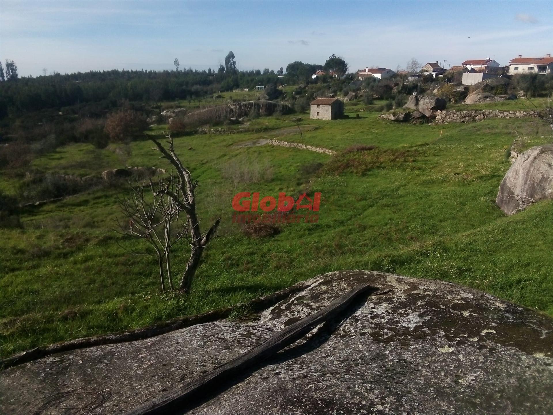 Terreno Para Construção  Venda em Ervedal e Vila Franca da Beira,Oliveira do Hospital