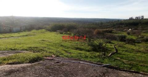 Terreno Para Construção  Venda em Ervedal e Vila Franca da Beira,Oliveira do Hospital