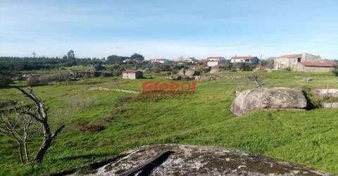 Terreno Para Construção  Venda em Ervedal e Vila Franca da Beira,Oliveira do Hospital
