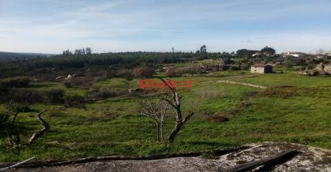 Terreno Para Construção  Venda em Ervedal e Vila Franca da Beira,Oliveira do Hospital
