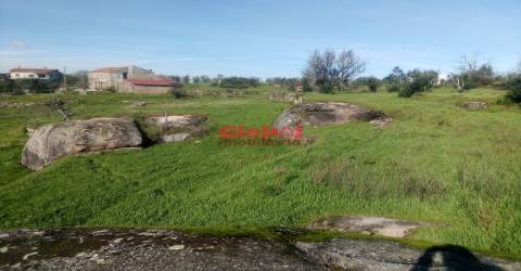 Terreno Para Construção  Venda em Ervedal e Vila Franca da Beira,Oliveira do Hospital