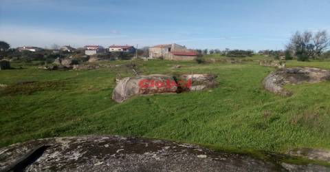 Terreno Para Construção  Venda em Ervedal e Vila Franca da Beira,Oliveira do Hospital