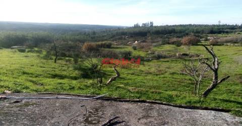 Terreno Para Construção  Venda em Ervedal e Vila Franca da Beira,Oliveira do Hospital