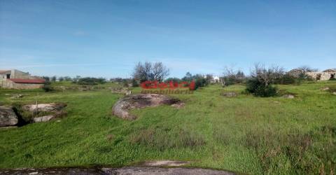 Terreno Para Construção  Venda em Ervedal e Vila Franca da Beira,Oliveira do Hospital