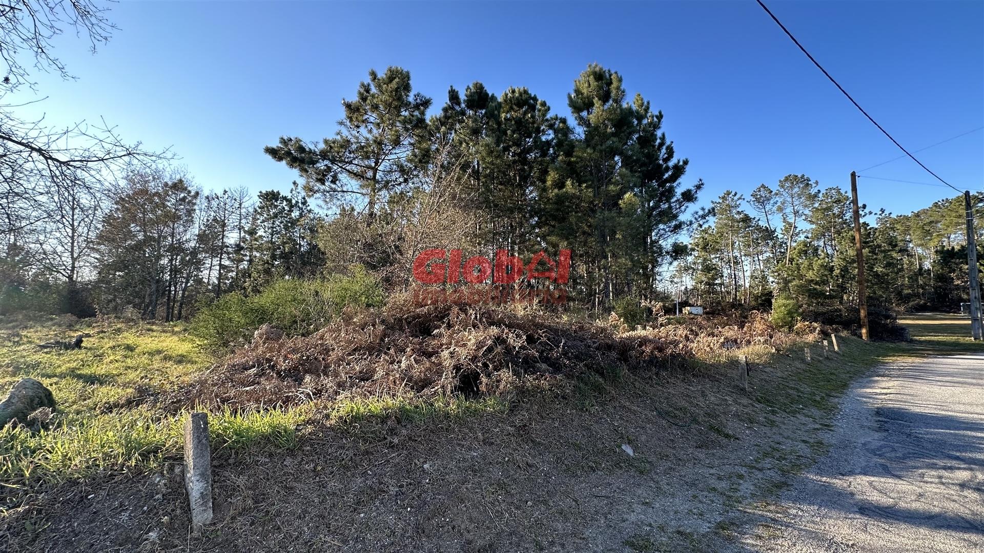 Terreno Para Construção  Venda em São Cipriano e Vil de Souto,Viseu