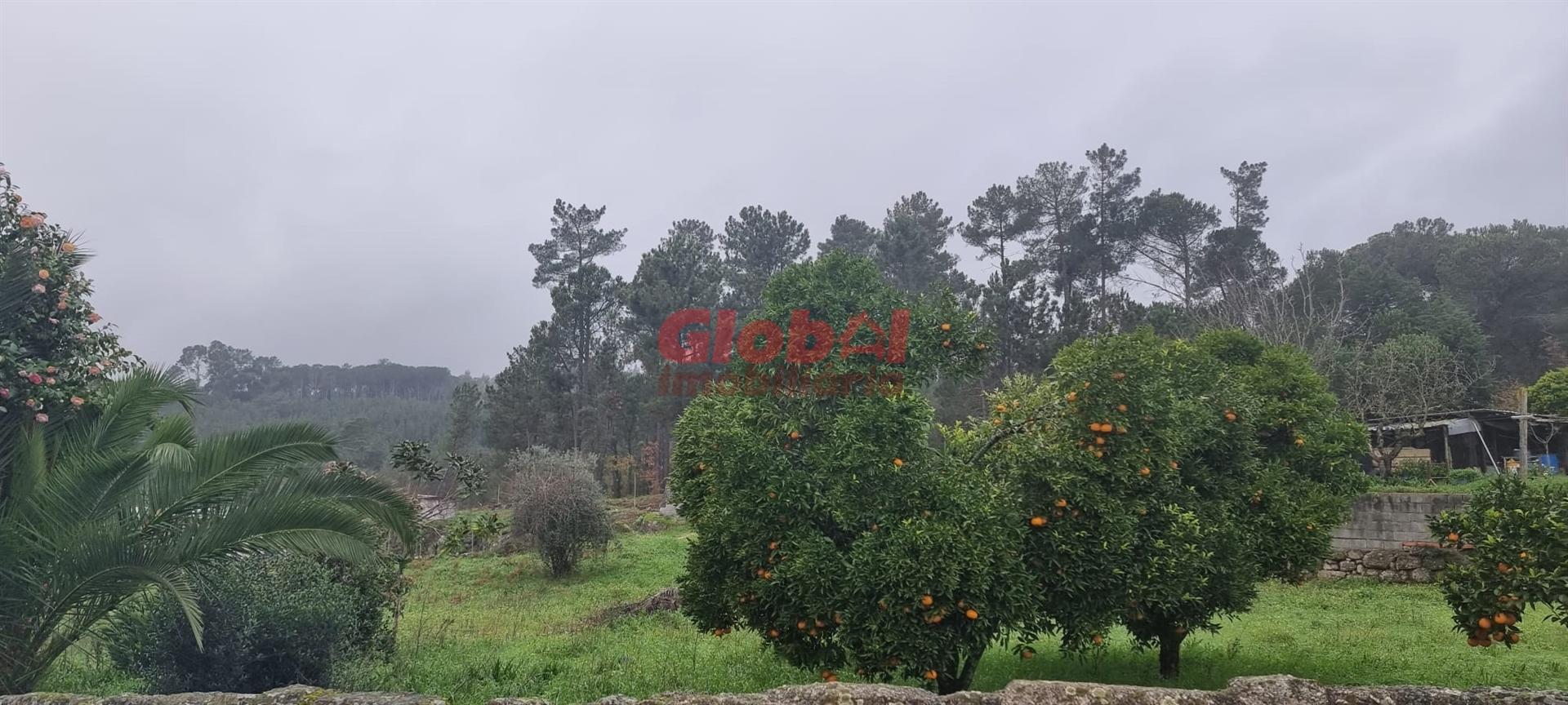 Terreno Para Construção  Venda em São João de Lourosa,Viseu