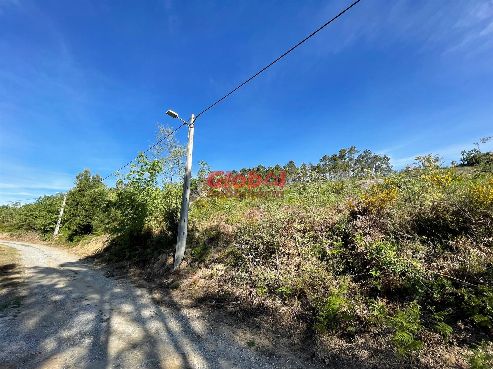 Lote de Terreno  Venda em São Pedro de France,Viseu