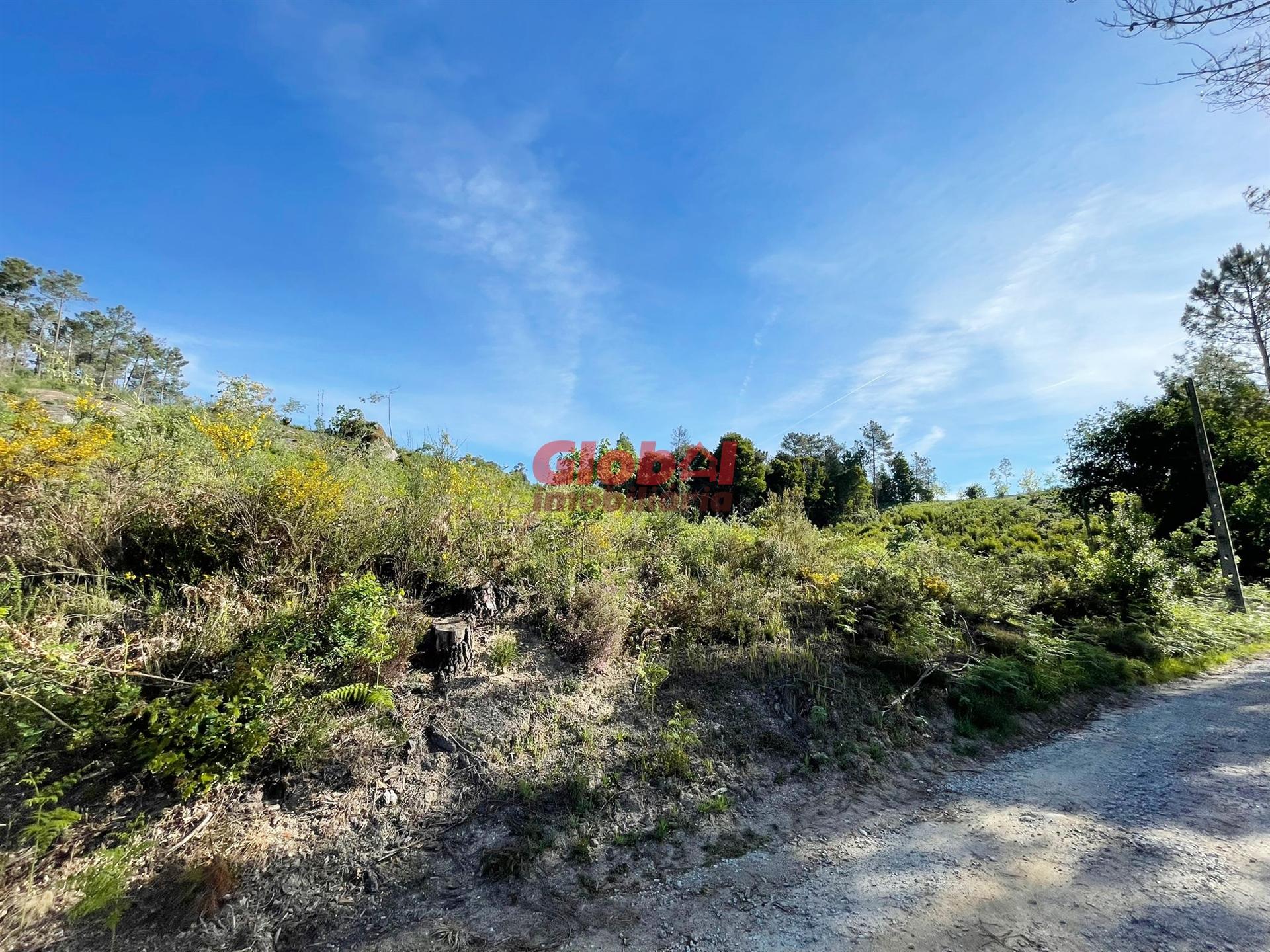 Lote de Terreno  Venda em São Pedro de France,Viseu