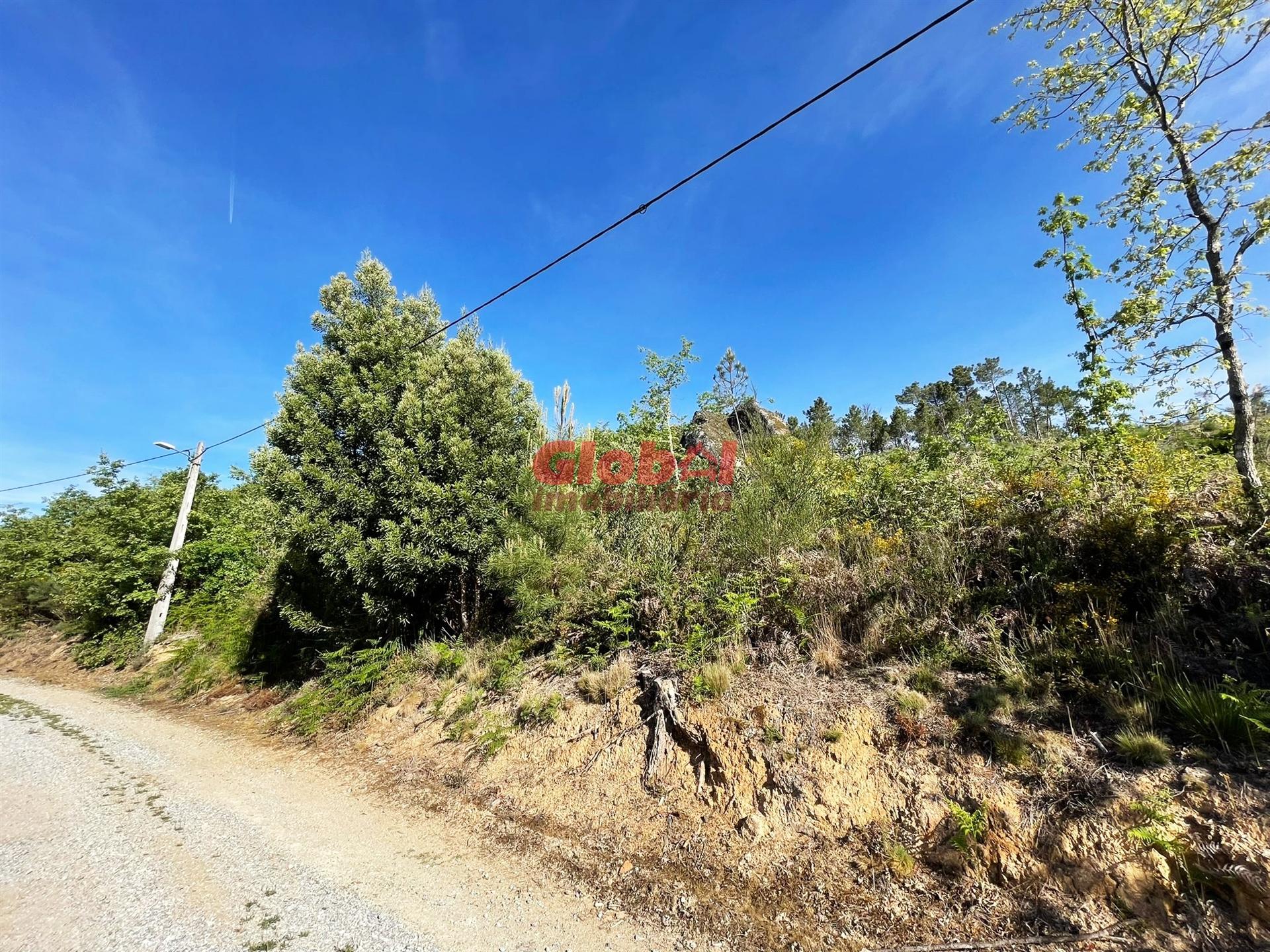 Lote de Terreno  Venda em São Pedro de France,Viseu