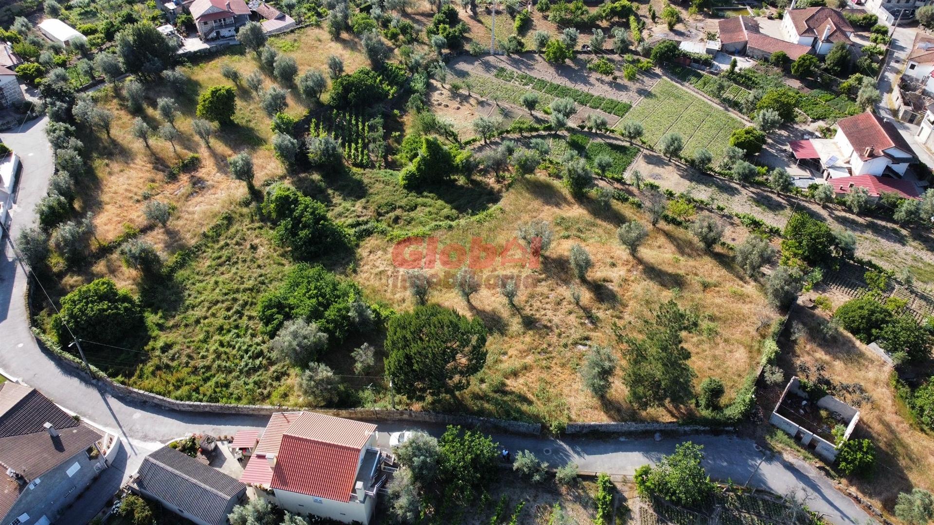 Terreno Urbano  Venda em Silgueiros,Viseu