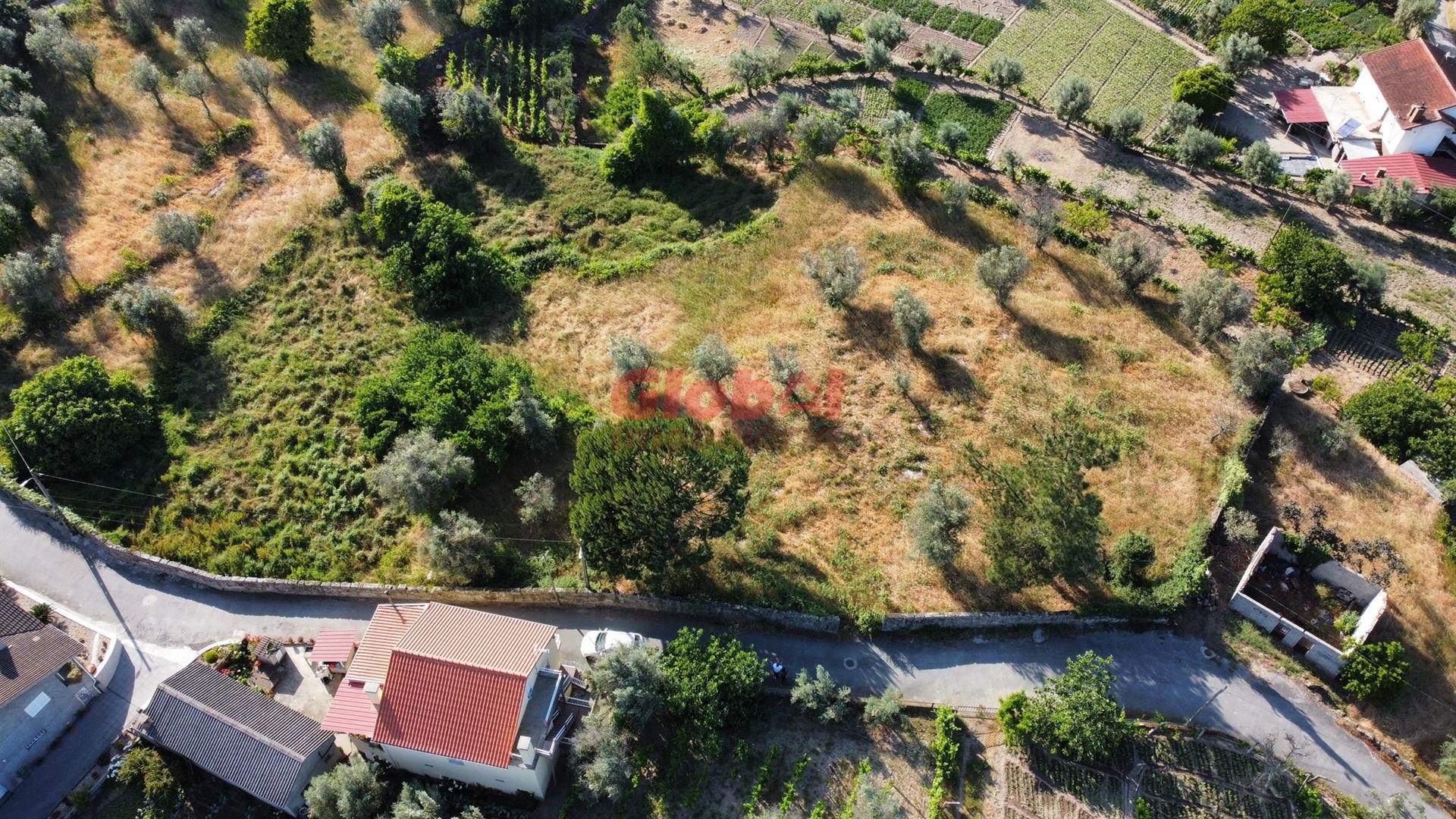 Terreno Urbano  Venda em Silgueiros,Viseu