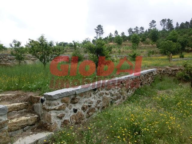 Quinta  Venda em Fornos de Maceira Dão,Mangualde