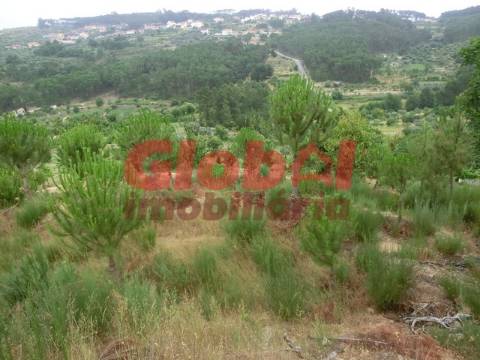 Quinta  Venda em Fornos de Maceira Dão,Mangualde