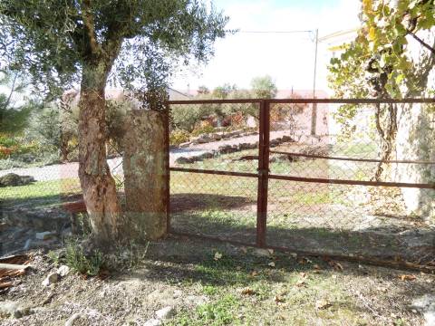 Moradia Isolada T3 Venda em Tourais e Lajes,Seia