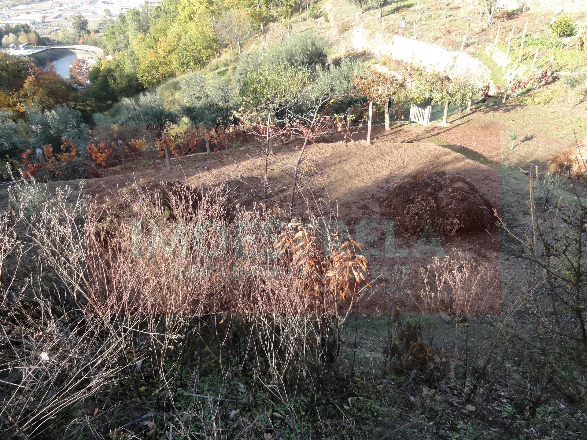 Terreno  Venda em Seia, São Romão e Lapa dos Dinheiros,Seia