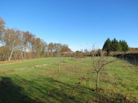 Quinta T8 Venda em Moimenta da Serra e Vinhó,Gouveia