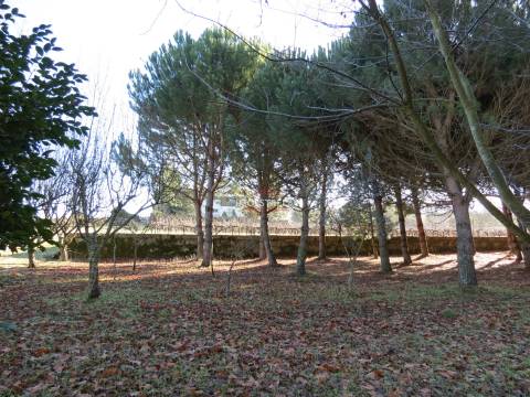 Quinta T8 Venda em Moimenta da Serra e Vinhó,Gouveia