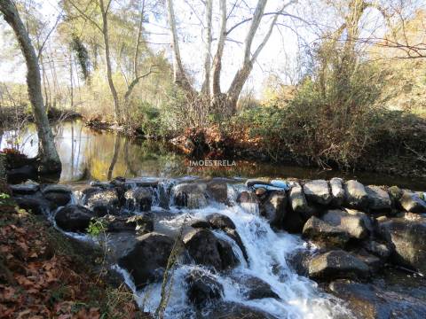 Quinta T8 Venda em Moimenta da Serra e Vinhó,Gouveia