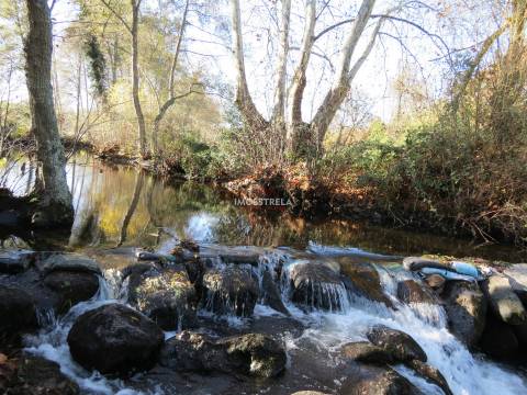 Quinta T8 Venda em Moimenta da Serra e Vinhó,Gouveia