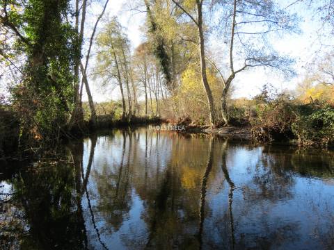 Quinta T8 Venda em Moimenta da Serra e Vinhó,Gouveia
