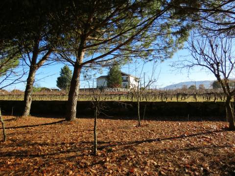 Quinta T8 Venda em Moimenta da Serra e Vinhó,Gouveia