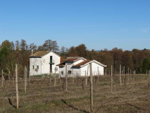 Quinta T8 Venda em Moimenta da Serra e Vinhó,Gouveia