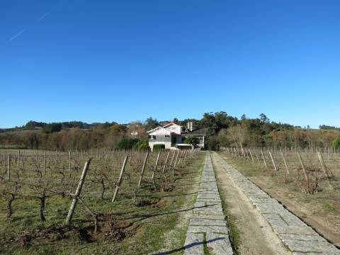 Quinta T8 Venda em Moimenta da Serra e Vinhó,Gouveia