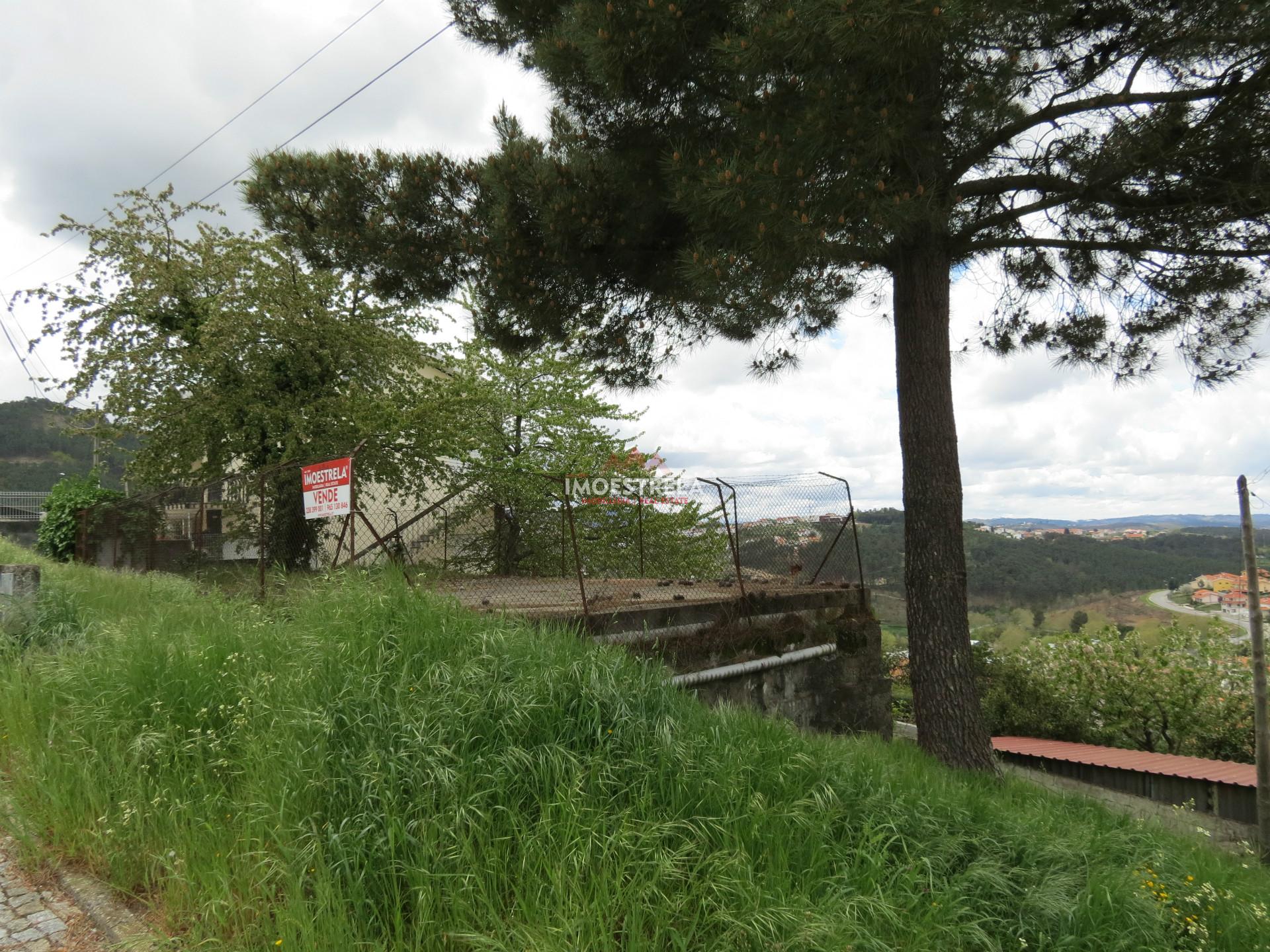 Lote de Terreno  Venda em Seia, São Romão e Lapa dos Dinheiros,Seia