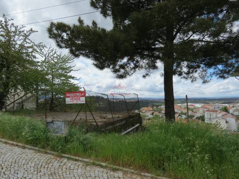 Lote de Terreno  Venda em Seia, São Romão e Lapa dos Dinheiros,Seia