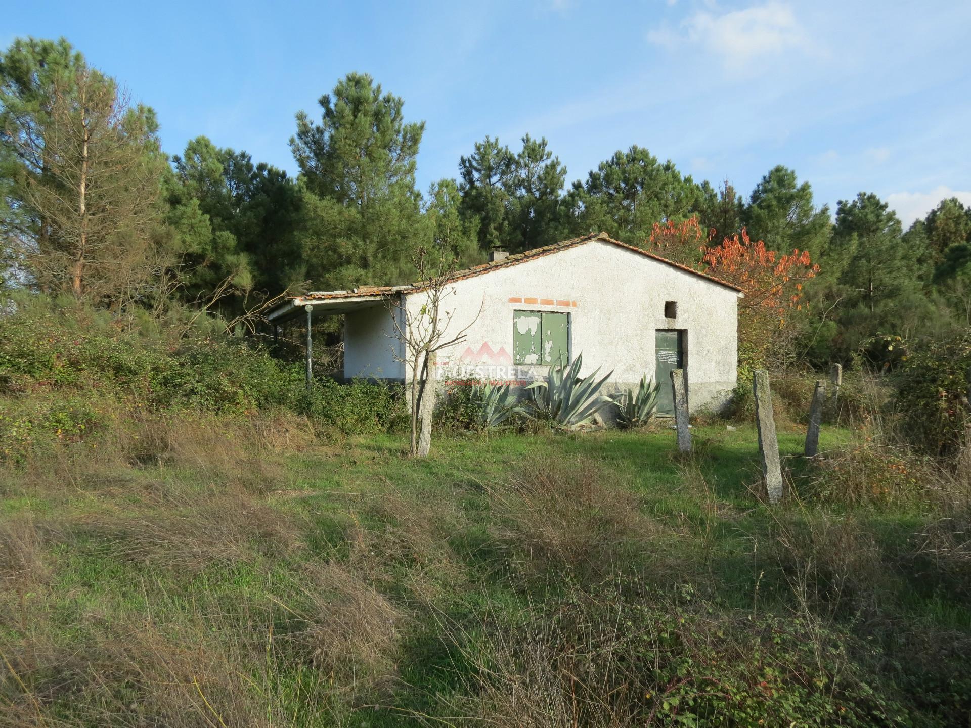 Quintinha  Venda em Pinhanços,Seia