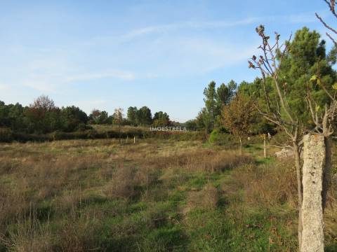 Quintinha  Venda em Pinhanços,Seia
