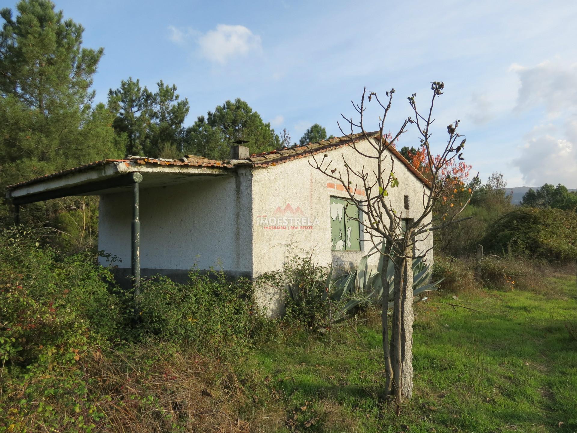 Quintinha  Venda em Pinhanços,Seia