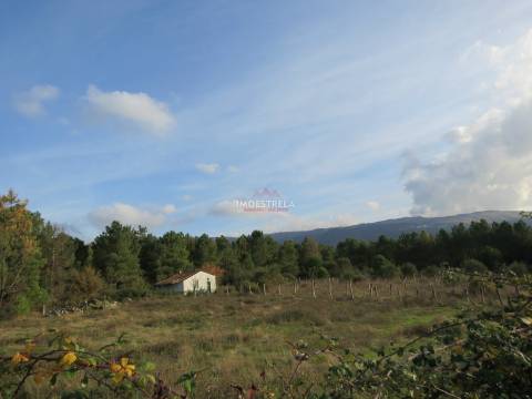 Quintinha  Venda em Pinhanços,Seia