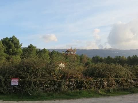 Quintinha  Venda em Pinhanços,Seia