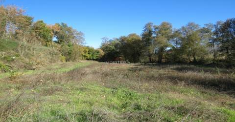 Quinta  Venda em Santa Comba,Seia