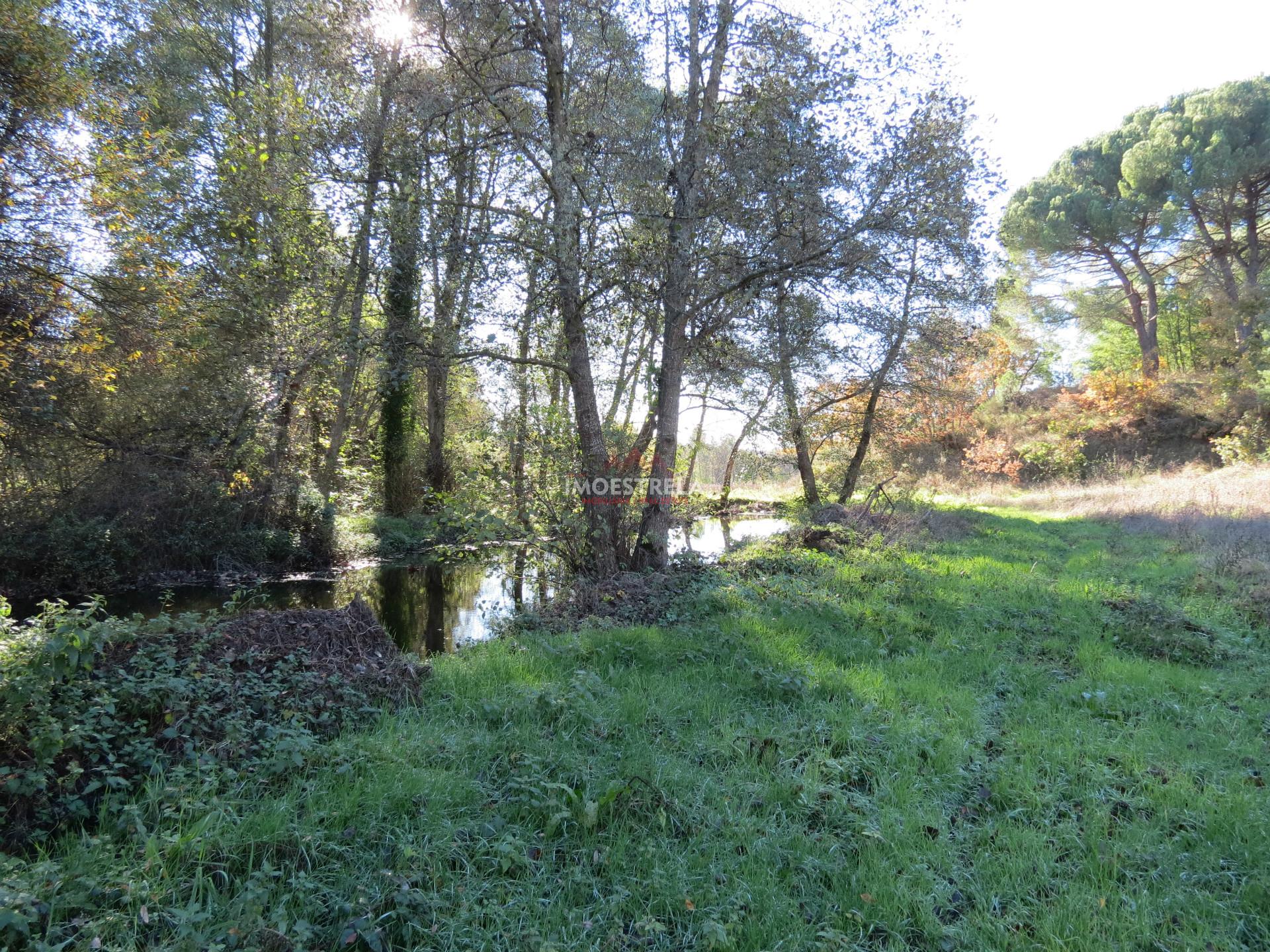 Quinta  Venda em Santa Comba,Seia