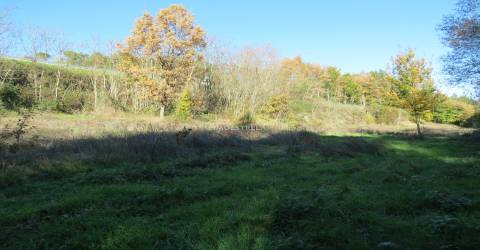 Quinta  Venda em Santa Comba,Seia