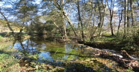Quinta  Venda em Santa Comba,Seia