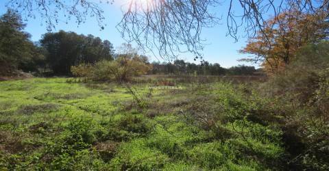 Quinta  Venda em Santa Comba,Seia