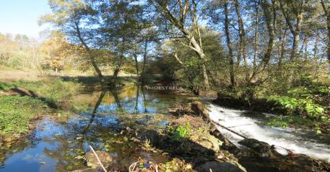 Quinta  Venda em Santa Comba,Seia
