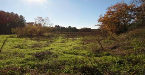 Quinta  Venda em Santa Comba,Seia